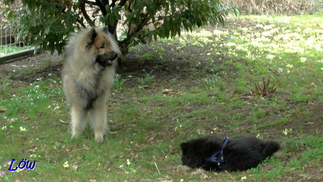 31.3.2018 - Gemeinsam relaxen